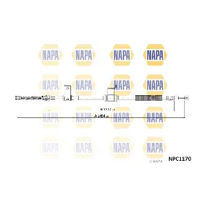 NPC1170 NAPA