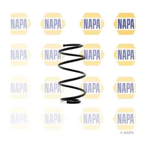 NCS1319 NAPA