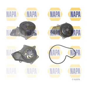 NAPA NWP1230