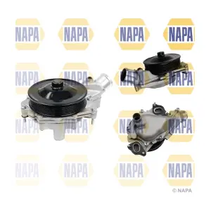 NAPA NWP1286