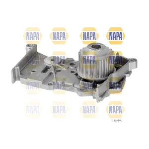 NAPA NWP1705