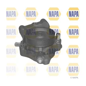 NWP1268 NAPA