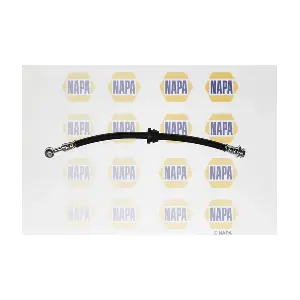 NBH1363 NAPA
