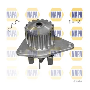 NAPA NWP1146
