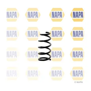NCS1343 NAPA
