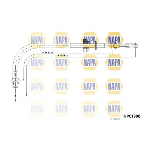NPC1896 NAPA