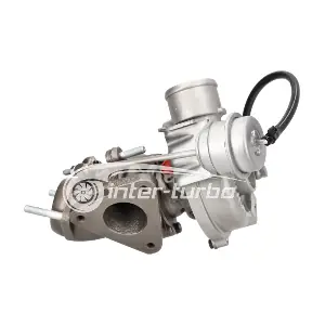 6010900280 BorgWarner (Schwitzer)