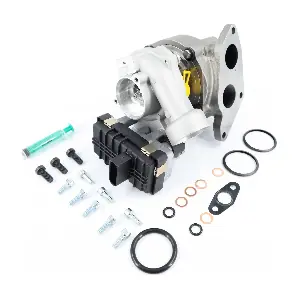 4745220 BorgWarner