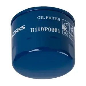 CWORKS B110P0001