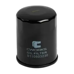 CWORKS B110503230