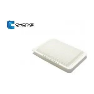 CWORKS B130170117
