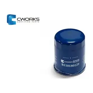 CWORKS B110180129