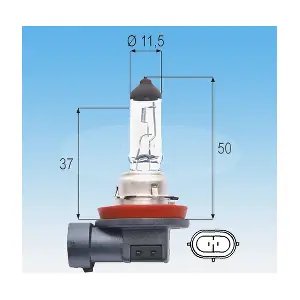 722997 KUTNAK AUTOMOTIVE