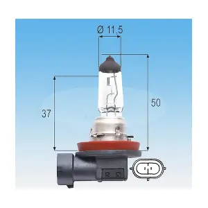 722995 KUTNAK AUTOMOTIVE