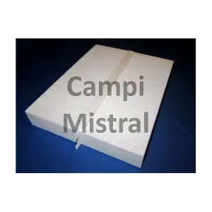 Mistral Filter AVF2302