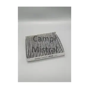 AVF1701C Mistral Filter