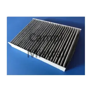 AVF1017C Mistral Filter