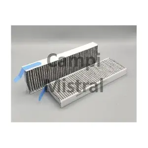 Mistral Filter AVF0307C