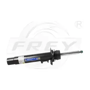 850420101 FREY