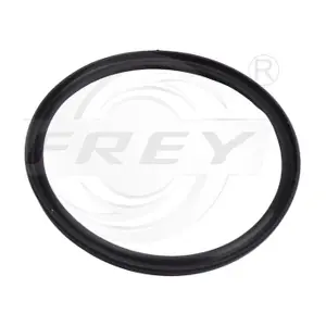700534801 FREY