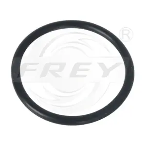 700534501 FREY