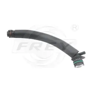 813086101 FREY