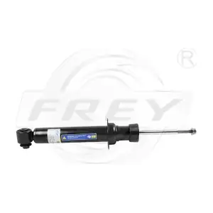 850404101 FREY