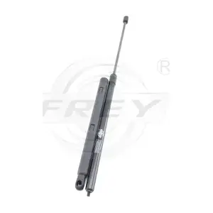 790811301 FREY