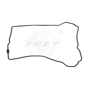 700411201 FREY