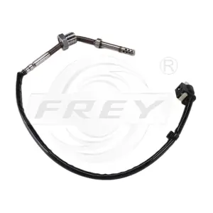 780205301 FREY