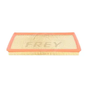 703125901 FREY