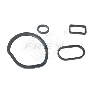700513801 FREY