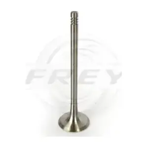 806800401 FREY