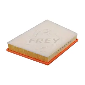 803113701 FREY