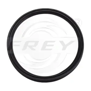 700534901 FREY