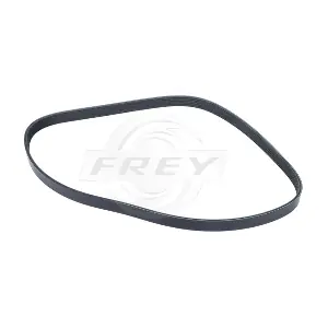 721620601 FREY