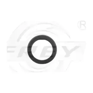 700513701 FREY