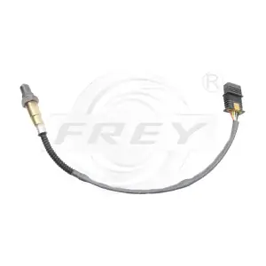 880613101 FREY