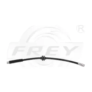 745902101 FREY