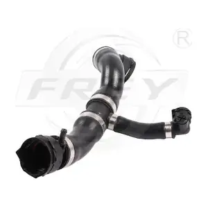 824570401 FREY