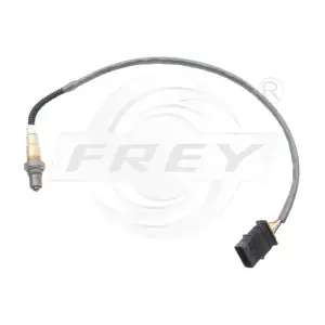 880613301 FREY