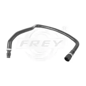 824561301 FREY