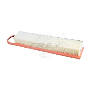 803109601 FREY