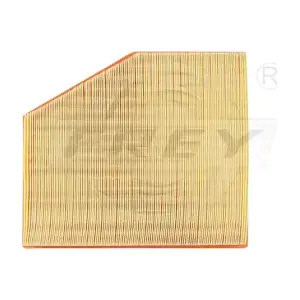 803102701 FREY