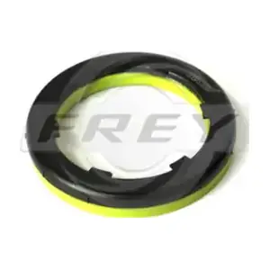 850412402 FREY