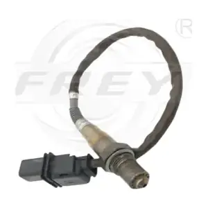 FREY 780604701