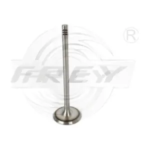 806701001 FREY