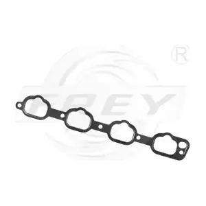 700604401 FREY