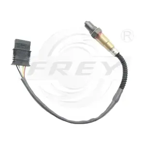 880613001 FREY