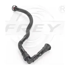 813086801 FREY